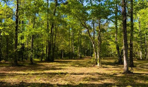 Photo #19 of 9985 Highway 17 North, McClellanville, SC 4.7 acres