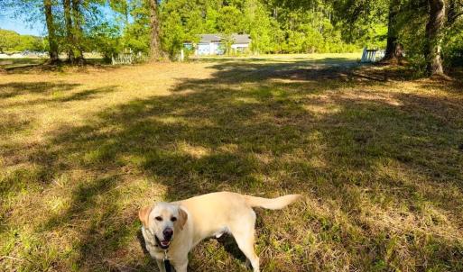 Photo #20 of 9985 Highway 17 North, McClellanville, SC 4.7 acres