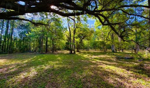 Photo #5 of 9985 Highway 17 North, McClellanville, SC 4.7 acres