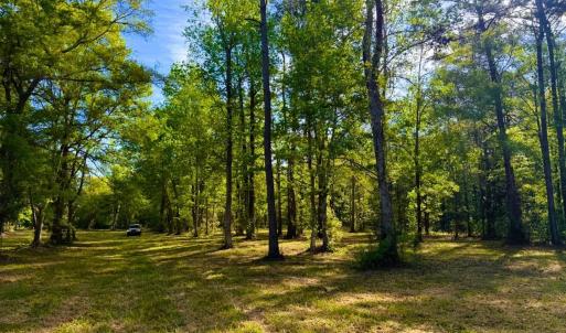 Photo #26 of 9985 Highway 17 North, McClellanville, SC 4.7 acres