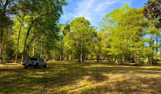 Photo #32 of 9985 Highway 17 North, McClellanville, SC 4.7 acres