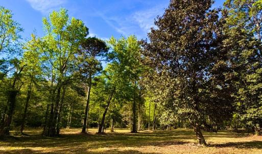 Photo #9 of 9985 Highway 17 North, McClellanville, SC 4.7 acres