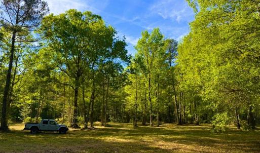 Photo #30 of 9985 Highway 17 North, McClellanville, SC 4.7 acres