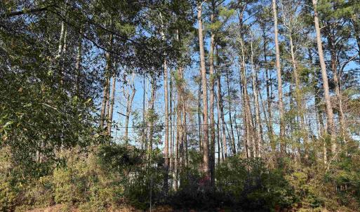 Photo #3 of 867 Kings River Rd., Pawleys Island, SC 0.5 acres