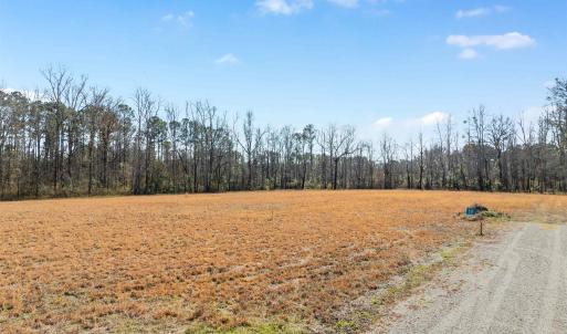 Photo #6 of Lot 4 Sheila Dr., Johnsonville, SC 7.1 acres