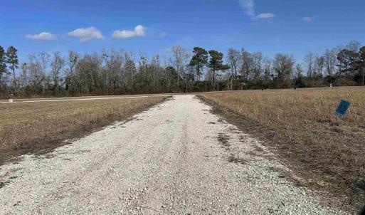 Photo #7 of Lot 4 Sheila Dr., Johnsonville, SC 7.1 acres