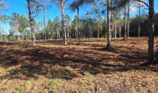 Photo #3 of 1513 Oakdale Rd., Loris, SC 0.5 acres