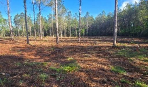 Photo #1 of 1513 Oakdale Rd., Loris, SC 0.5 acres