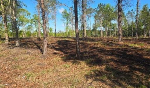 Photo #2 of 1513 Oakdale Rd., Loris, SC 0.5 acres