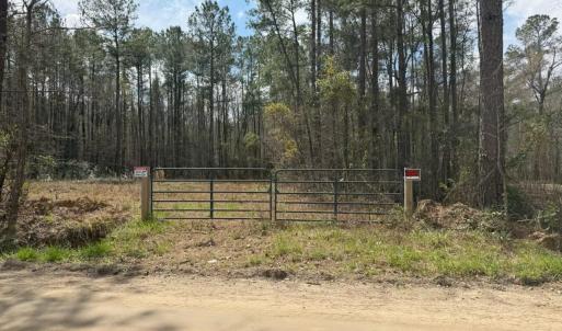 Photo #2 of School Bus Rd, Jamestown, SC 29.5 acres