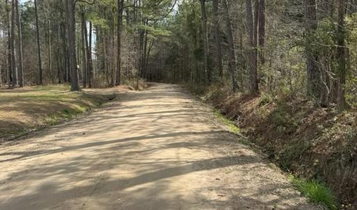 Photo #3 of School Bus Rd, Jamestown, SC 29.5 acres