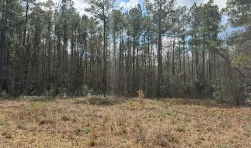 Photo #4 of School Bus Rd, Jamestown, SC 29.5 acres