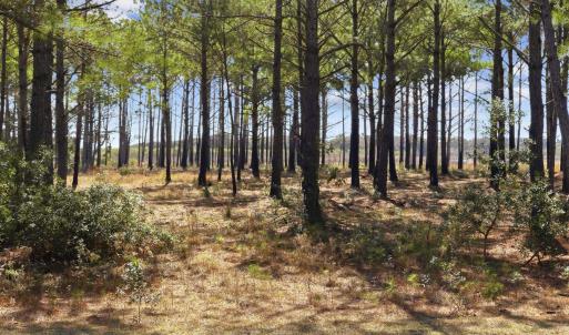 Photo #31 of 2862 Vanderbilt Blvd., Pawleys Island, SC 1.4 acres