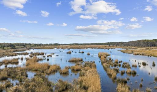 Photo #13 of 2862 Vanderbilt Blvd., Pawleys Island, SC 1.4 acres