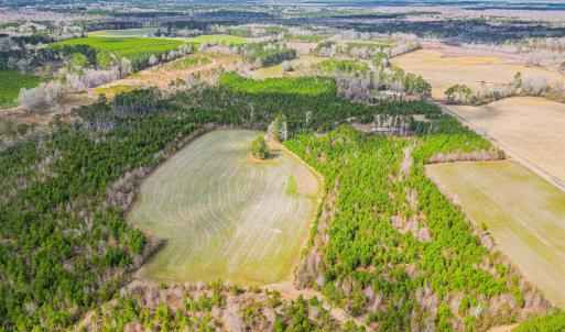 Photo #14 of TBD Muddy Creek Rd., Johnsonville, SC 86.5 acres