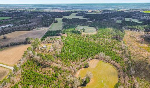 Photo #3 of TBD Muddy Creek Rd., Johnsonville, SC 86.5 acres