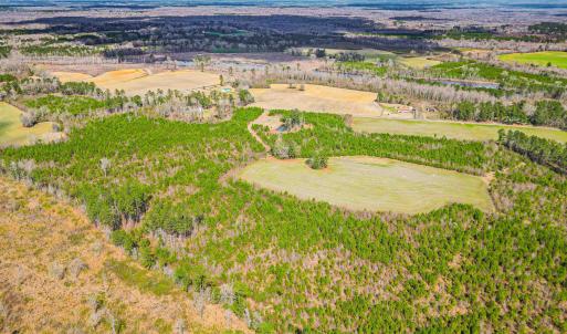 Photo #26 of TBD Muddy Creek Rd., Johnsonville, SC 86.5 acres