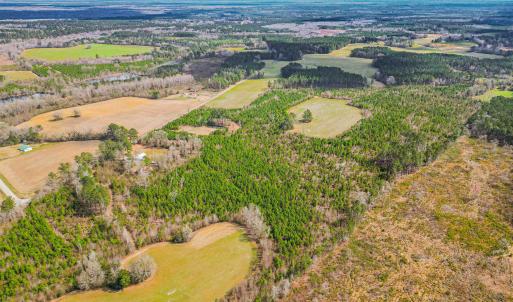 Photo #28 of TBD Muddy Creek Rd., Johnsonville, SC 86.5 acres