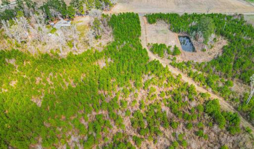 Photo #9 of TBD Muddy Creek Rd., Johnsonville, SC 86.5 acres