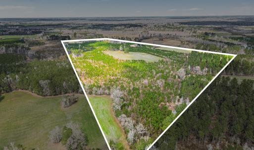 Photo #17 of TBD Muddy Creek Rd., Johnsonville, SC 86.5 acres