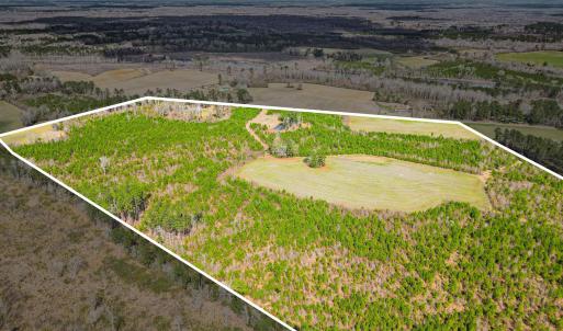 Photo #25 of TBD Muddy Creek Rd., Johnsonville, SC 86.5 acres