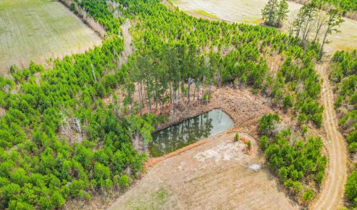 Photo #12 of TBD Muddy Creek Rd., Johnsonville, SC 86.5 acres