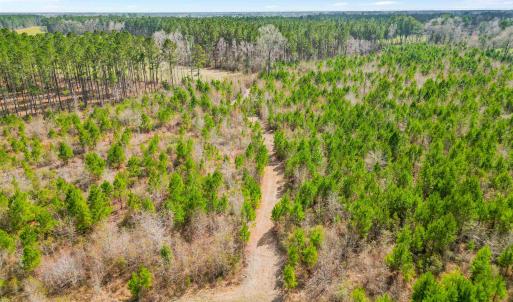 Photo #20 of TBD Muddy Creek Rd., Johnsonville, SC 86.5 acres
