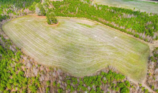 Photo #15 of TBD Muddy Creek Rd., Johnsonville, SC 86.5 acres