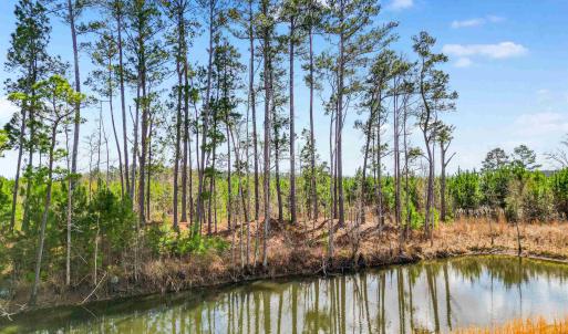 Photo #8 of TBD Muddy Creek Rd., Johnsonville, SC 86.5 acres