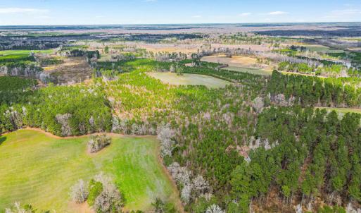 Photo #1 of TBD Muddy Creek Rd., Johnsonville, SC 86.5 acres