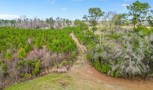 Photo #16 of TBD Muddy Creek Rd., Johnsonville, SC 86.5 acres