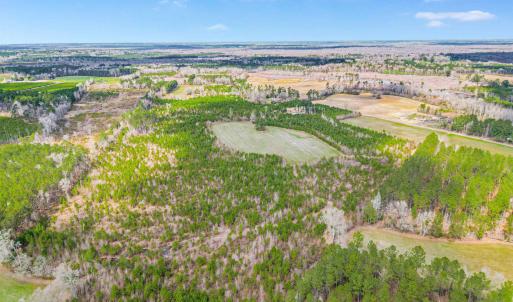Photo #12 of TBD Muddy Creek Rd., Johnsonville, SC 86.5 acres