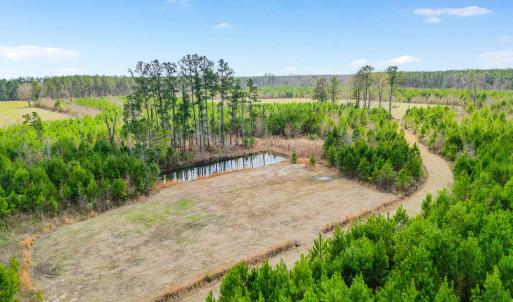 Photo #19 of TBD Muddy Creek Rd., Johnsonville, SC 86.5 acres