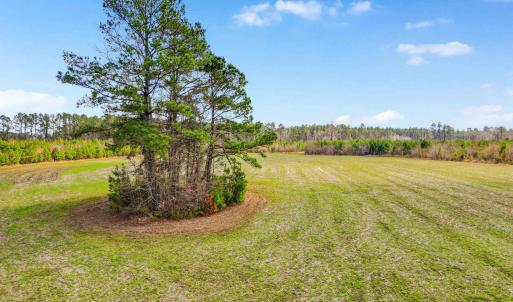 Photo #18 of TBD Muddy Creek Rd., Johnsonville, SC 86.5 acres