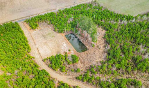Photo #9 of TBD Muddy Creek Rd., Johnsonville, SC 86.5 acres