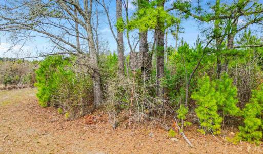 Photo #17 of TBD Muddy Creek Rd., Johnsonville, SC 86.5 acres