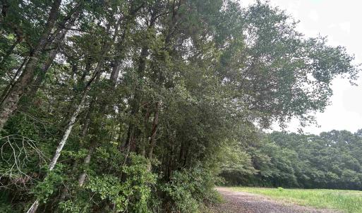 Photo #5 of TBD Johnson  Rd., Galivants Ferry, SC 6.2 acres