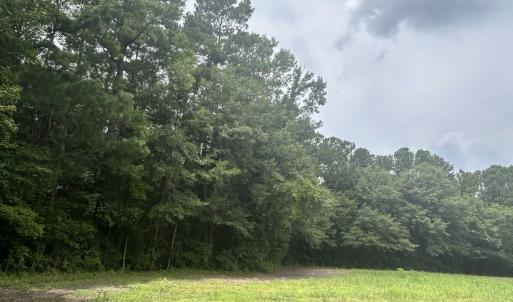 Photo #1 of TBD Johnson  Rd., Galivants Ferry, SC 6.2 acres