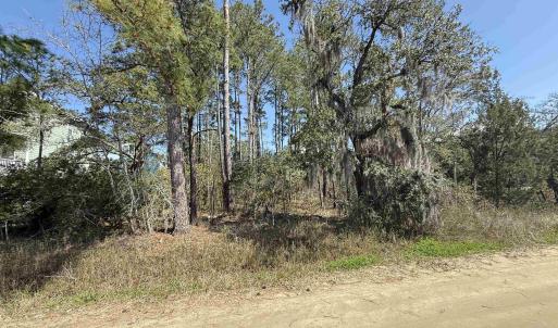 Photo #1 of 27 Stamper Trail, Pawleys Island, SC 0.3 acres