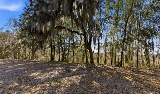 Photo #19 of 602 Chapman Loop, Pawleys Island, SC 0.7 acres