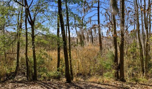 Photo #18 of 602 Chapman Loop, Pawleys Island, SC 0.7 acres