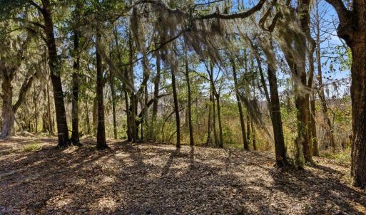 Photo #24 of 602 Chapman Loop, Pawleys Island, SC 0.7 acres