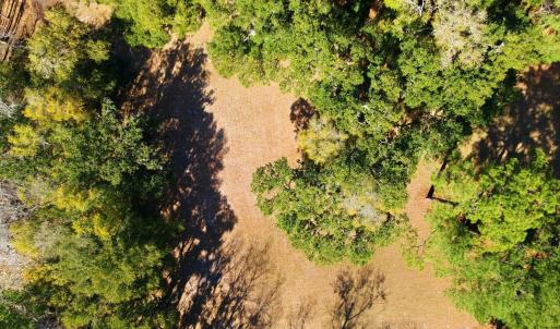 Photo #8 of 602 Chapman Loop, Pawleys Island, SC 0.7 acres