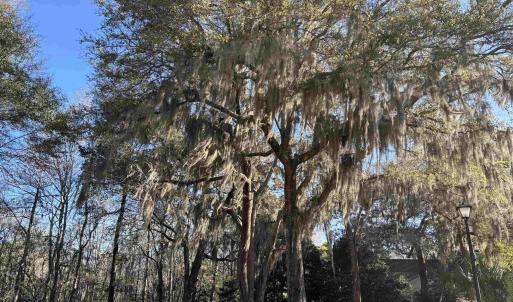 Photo #26 of 602 Chapman Loop, Pawleys Island, SC 0.7 acres