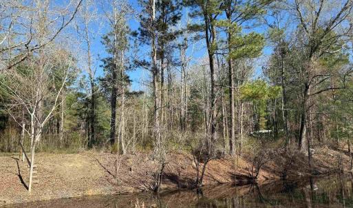 Photo #2 of TBD Locust Tree Ct., Gresham, SC 0.3 acres