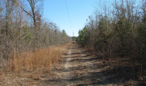 Photo #48 of Cannery Rd, Dalzell, SC 75.0 acres