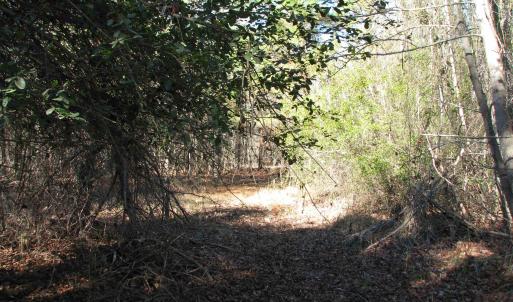 Photo #38 of Cannery Rd, Dalzell, SC 75.0 acres