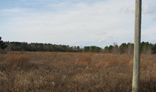 Photo #10 of Cannery Rd, Dalzell, SC 75.0 acres