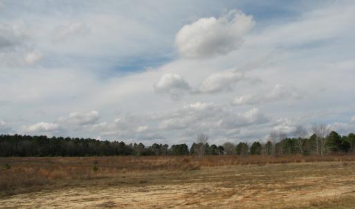 Photo #20 of Cannery Rd, Dalzell, SC 75.0 acres