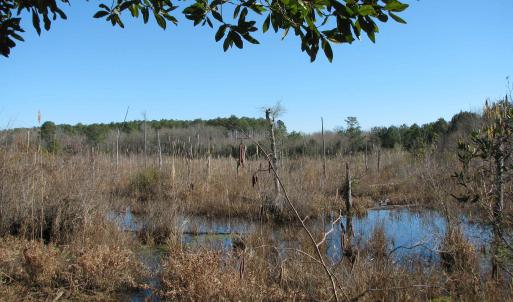 Photo #25 of Cannery Rd, Dalzell, SC 75.0 acres
